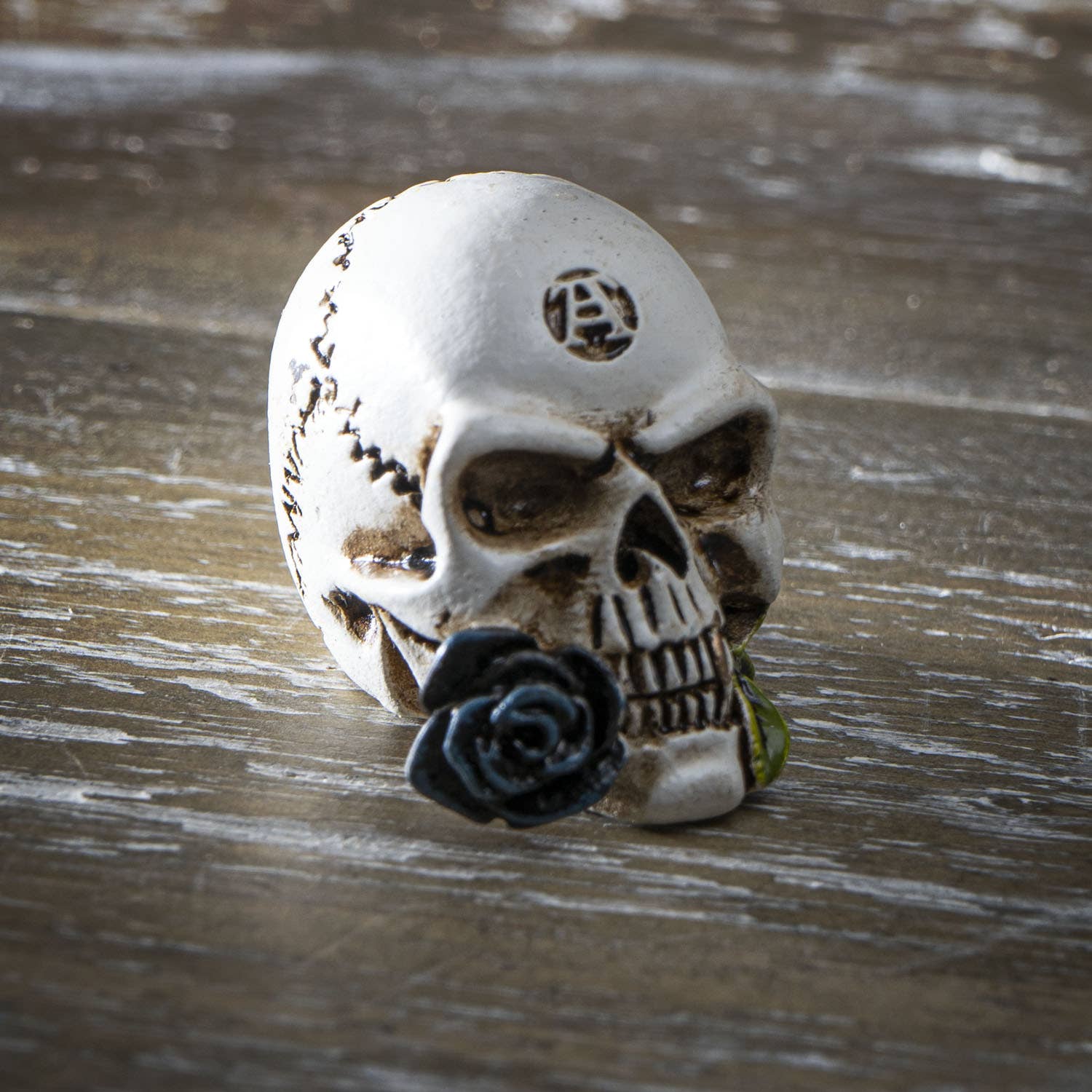 Pacific Trading - Wholesale Decorative Figurine - Alchemy Skull Mini5