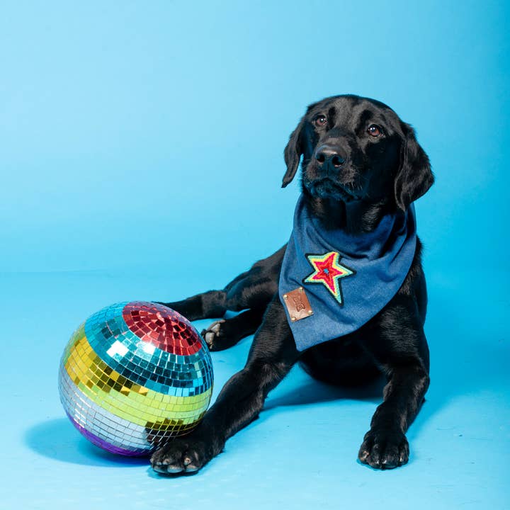 Stjerne Hund Bandana Halstørklæde for engroshandel hos The Distinguished Dog Company Ltd