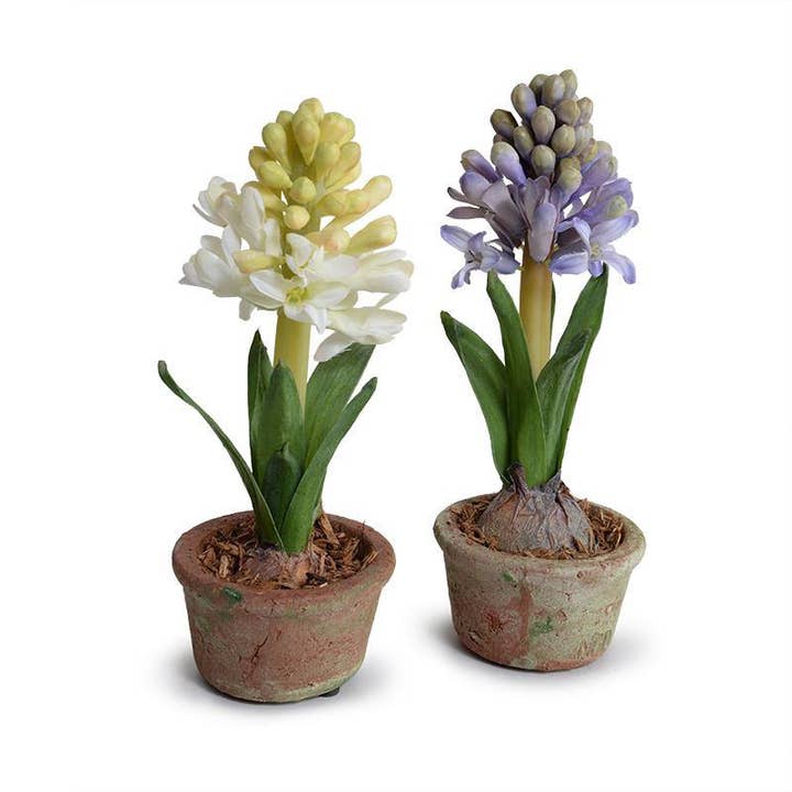 Hyacinth Mini-Pot 9"H for wholesale by New Growth Designs