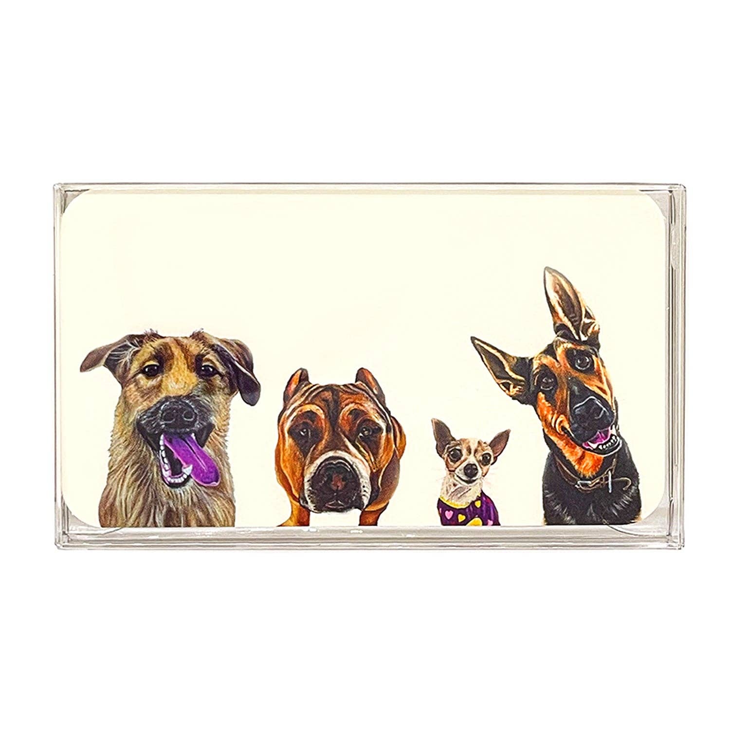 Woollybear Travels - Wholesale Stationery/Notecard Set - Pawsitive Notes- Rescued Shelter Dogs (Lunch Box Notes)4