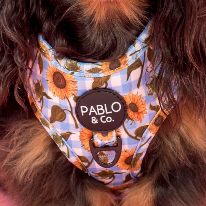 Soliga Solrosor: Justerbar Sele för wholesale av Pablo & Co. Boutique