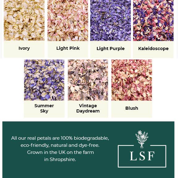 LSF Wholesale – wholesale Confetti – Will You Be My Page Boy Flower Confetti Pop4