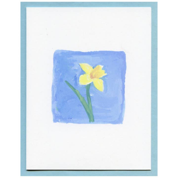 Narzisse für den Großhandel von Zucchini Fish