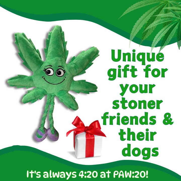 PAW:20 - Wholesale Pet Squeaky Toy - Dog - Mary Jane the Marijuana Leaf, 420 Dog Toy & Shelf-Sitter4