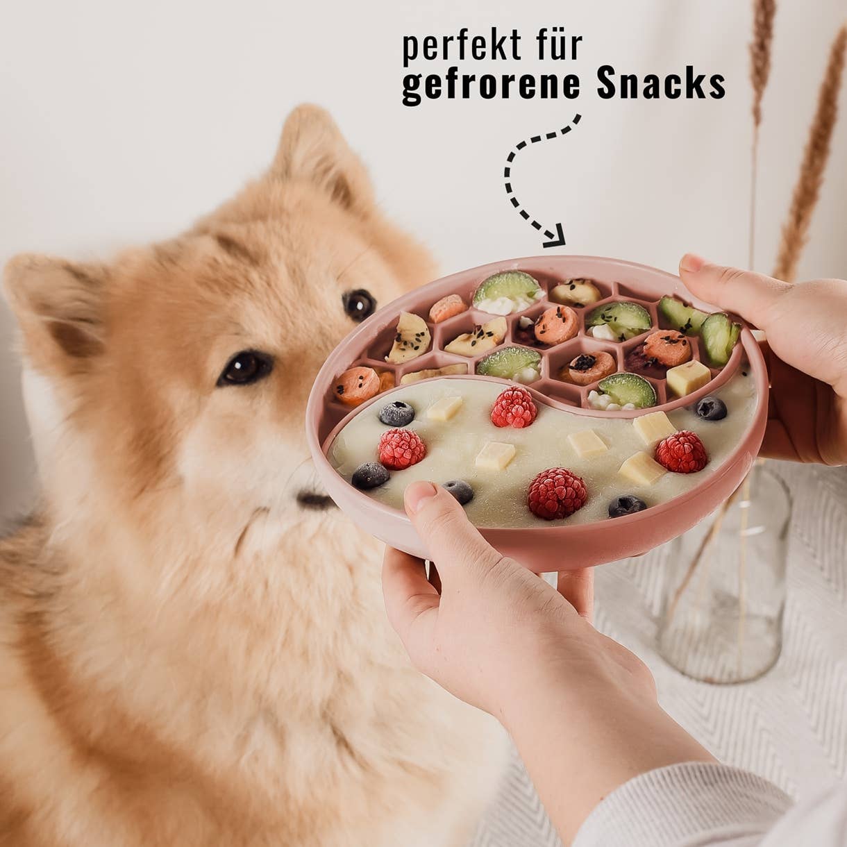 ne&no - Wholesale Pet Bowl - Cat/Dog - ne&no® Anti-Gulping Bowl / Licking Dish for Dogs & Cats27