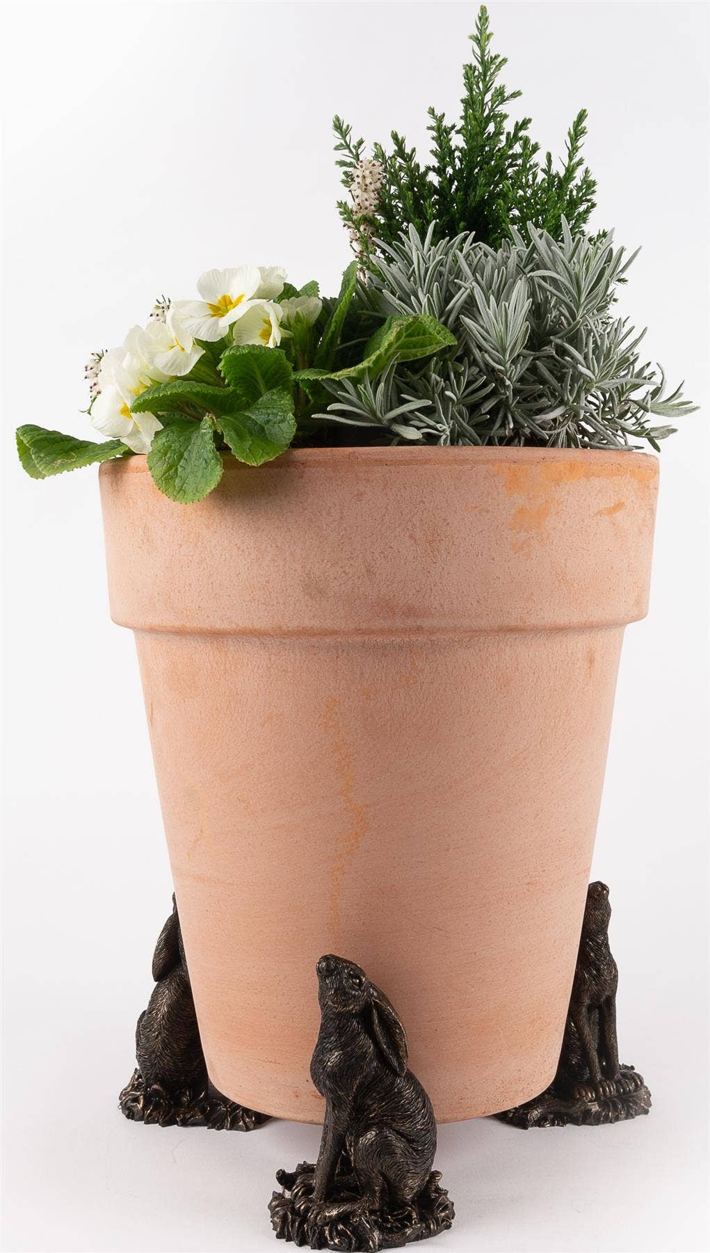 Jardinopia US - Wholesale Plant Pot - Moongazing Hare Plant Pot Feet - Set of 36