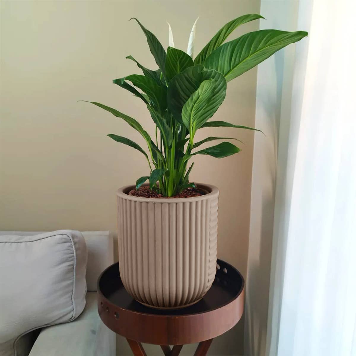 Ecobo - Wholesale Plant Pot - Linhas Pot Planter8