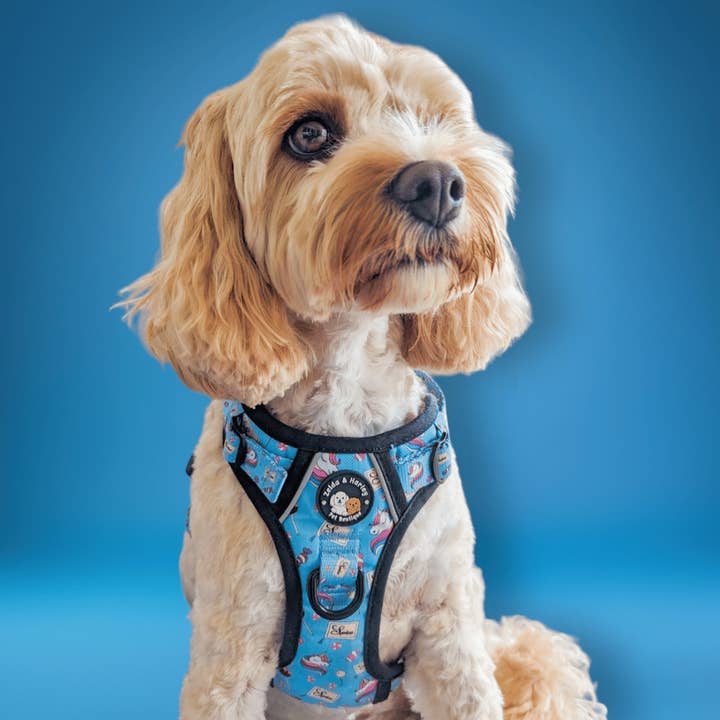 Sugar, Spice, and Everything Nice - Adventure No Pull Harness for wholesale by Zelda & Harley | The Dog Mom Store