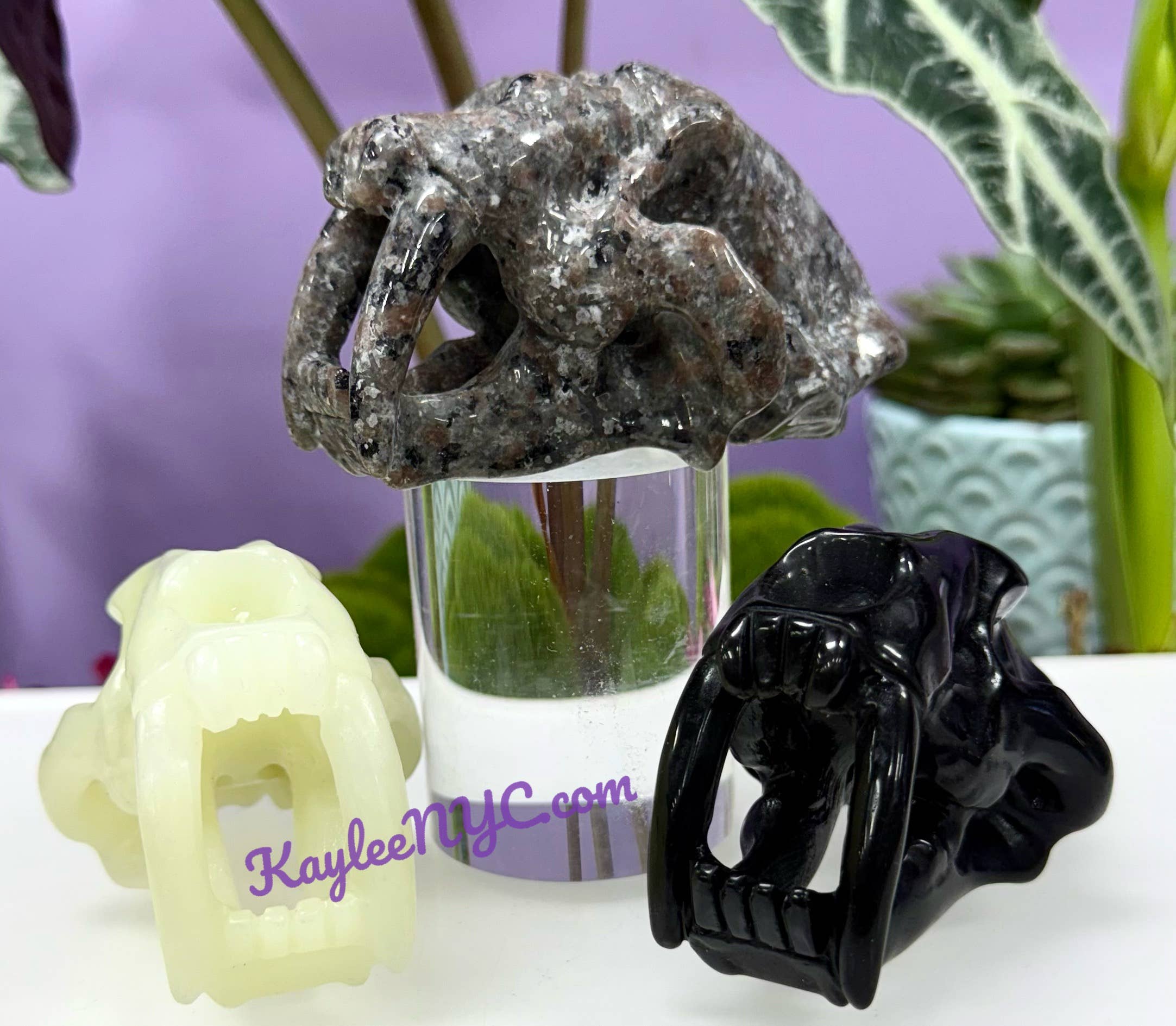 KayleeNYC - Wholesale Spiritual Stone/Crystal - 9cm Mix Natural Crystals Saber Tooth Skull Healing2