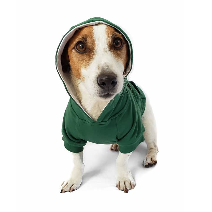 DJANGO - Wholesale Pet Hoodie - Dog - Dog Hoodie - Forest Green5