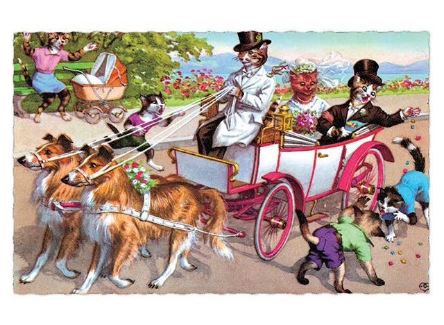 Laughing Elephant - Wholesale Postcard - Delightfully Dressed Cats - Everyday Boxed Postcards6