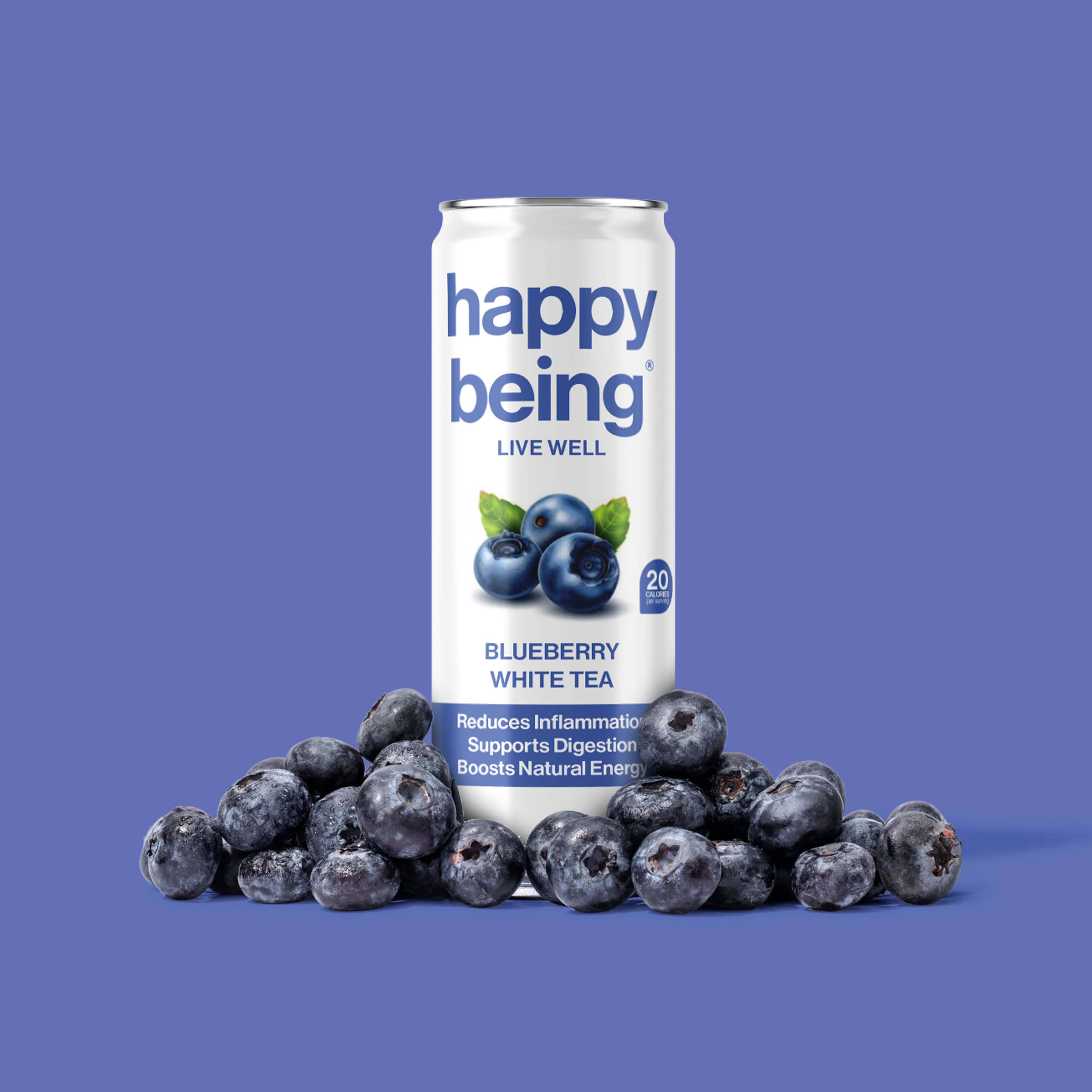 Happy Being – wholesale Hälsoté/Detoxté – 16-pack Blåbär3
