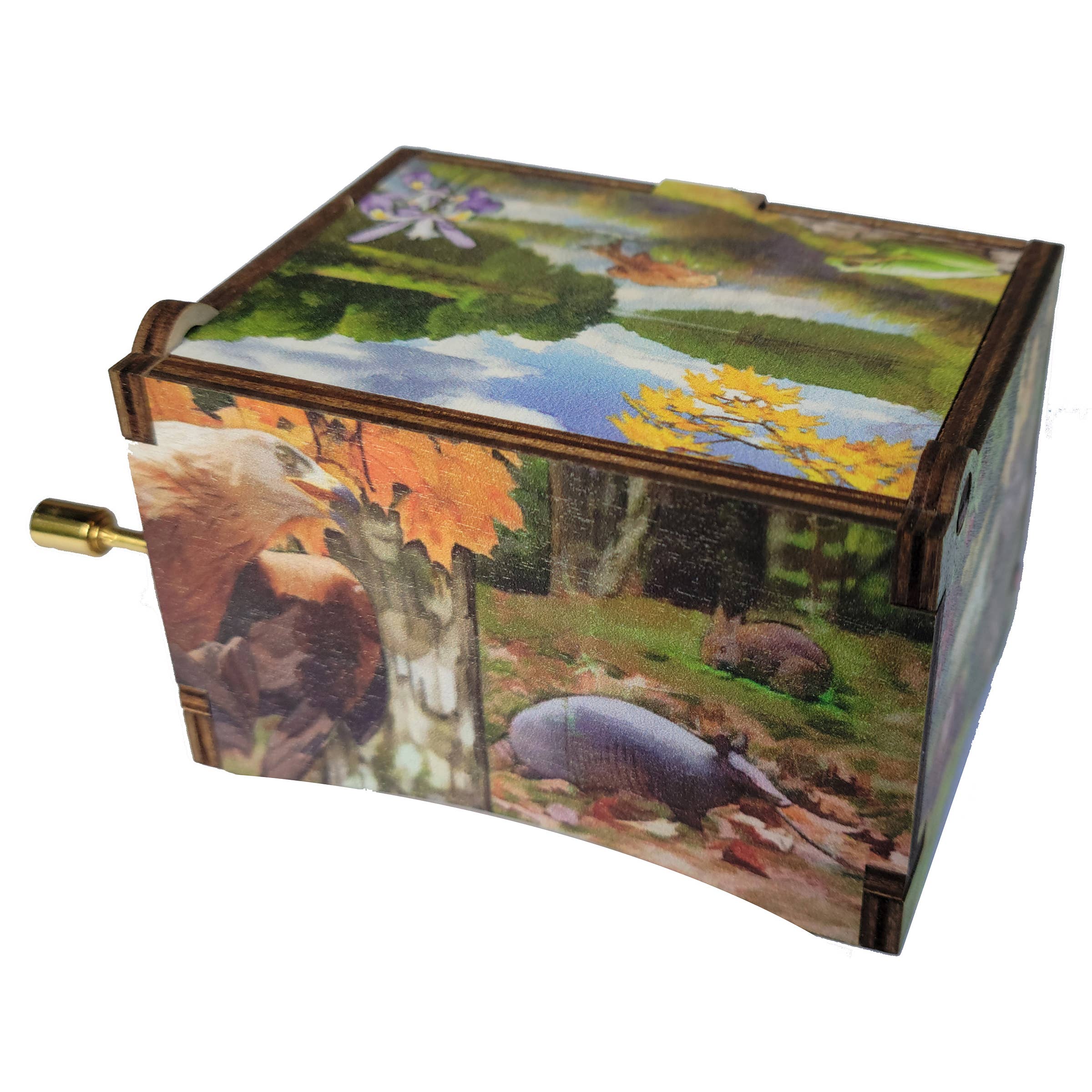 The Laser's Edge LLC - Wholesale Music Box - Kids & Baby - Nature's Parade Music Box2