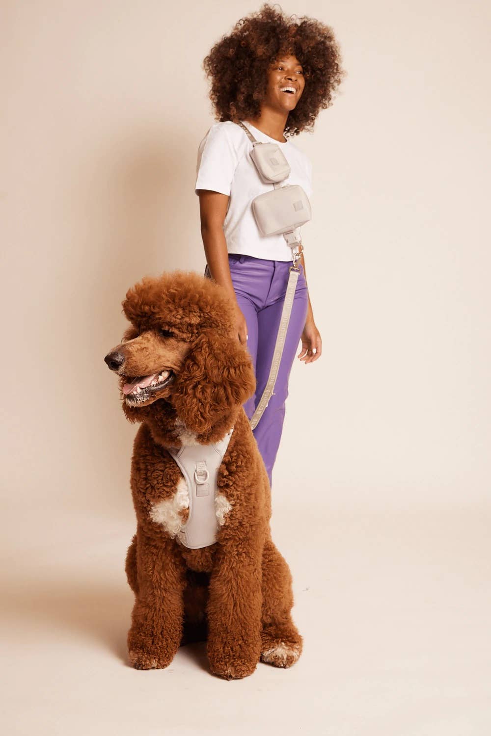 maxbone - Wholesale Pet Leash - Dog - GO! With Ease Hands-Free Leash for Dogs7