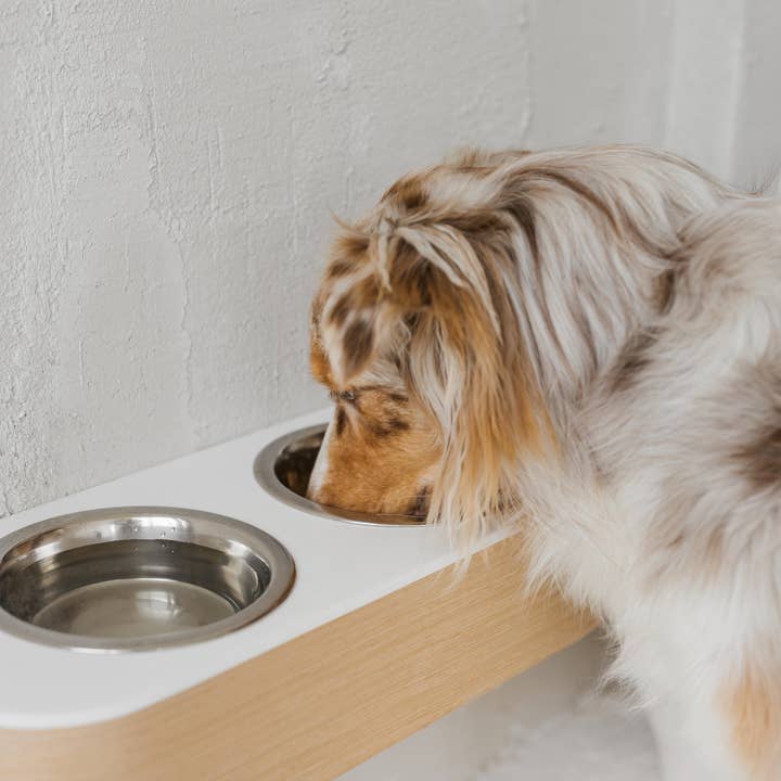 ValiaiDesign - Wholesale Pet Bowl - Cat/Dog - Waterproof dog feeder, Solid stone mounted dog bowl stand