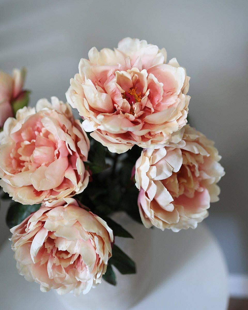 Prestige Botanicals - Wholesale Artificial Flowers - Peach Mauve Real Touch Peony 20.5"3