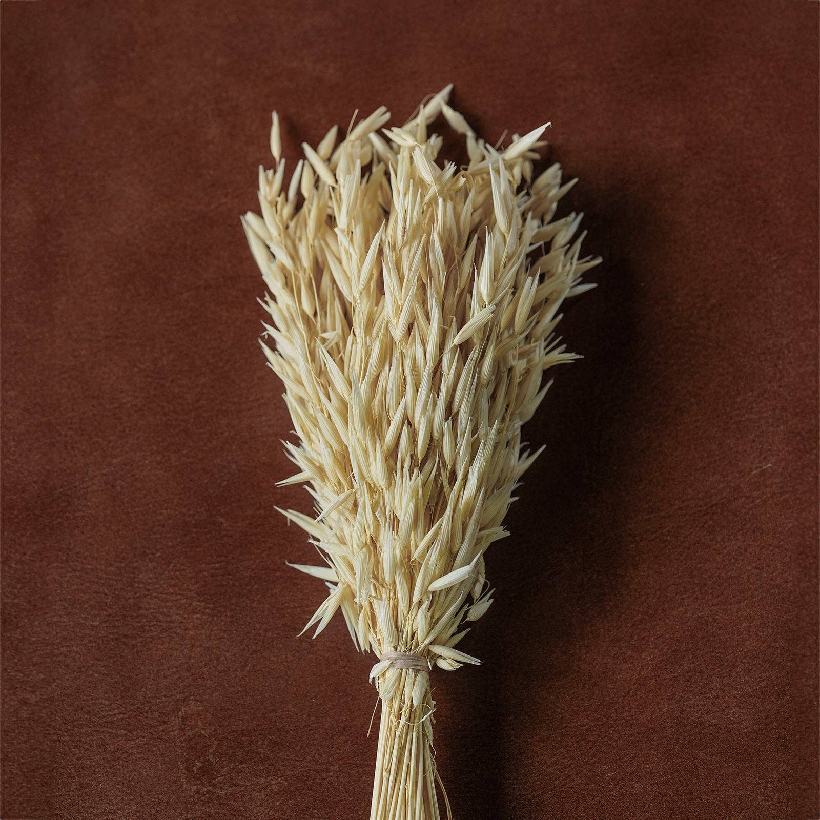 Blue Ocean Traders - Wholesale Dried/Pressed Flowers - Mixed Dried Grasses and Florals Bleached, 12"7