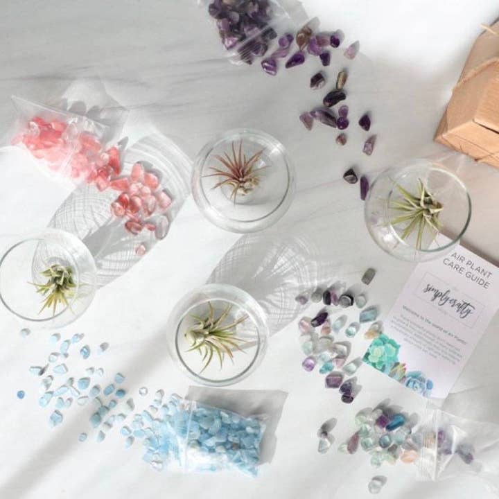 The Simply Crafty Shop - Wholesale Terrarium - Mini Bubble Terrarium Kit- Semi-Precious Stone