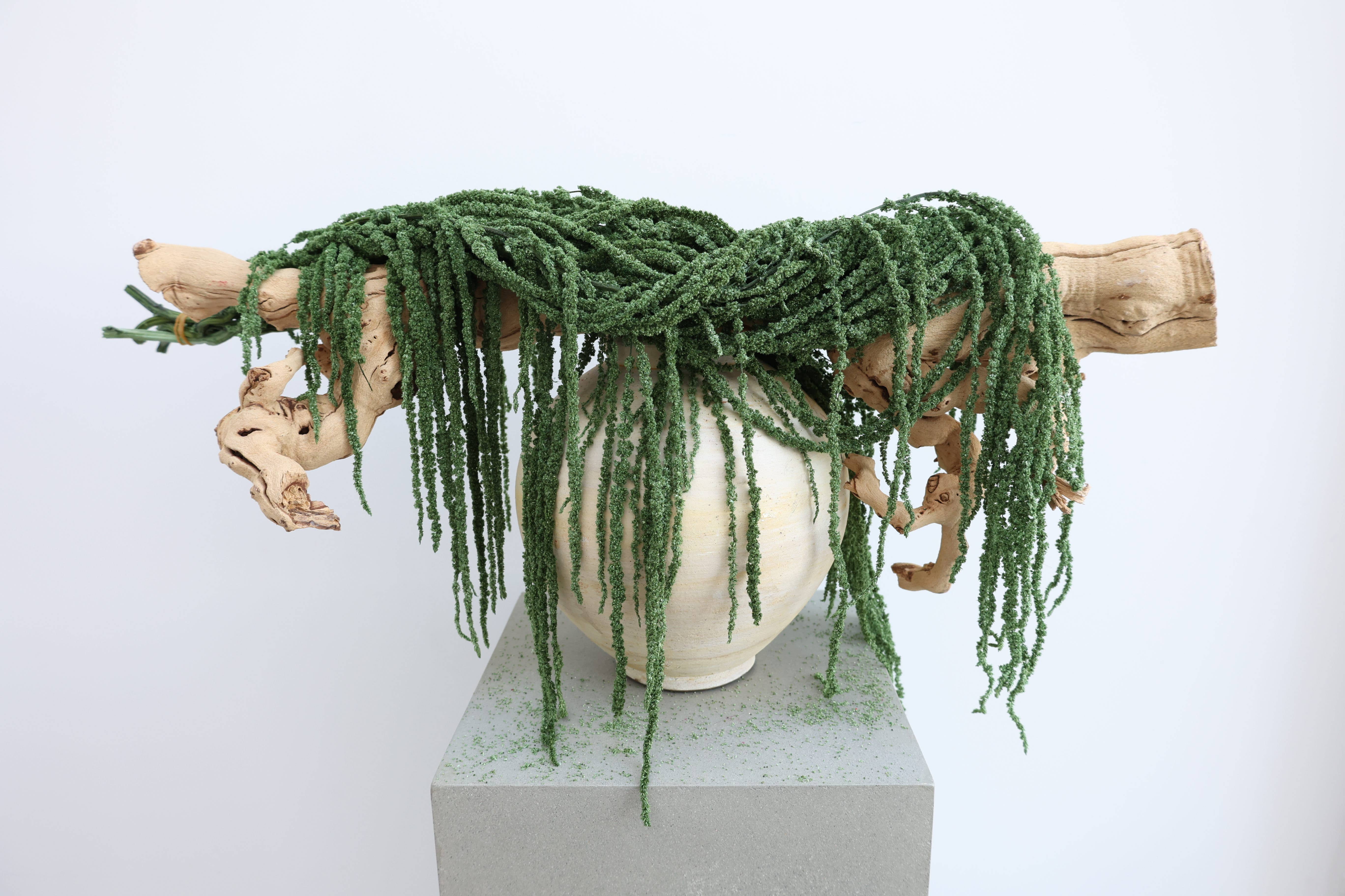 FlowerFantaSee – Großhandel Getrocknete/gepresste Blumen – Konservierter Amaranthus4