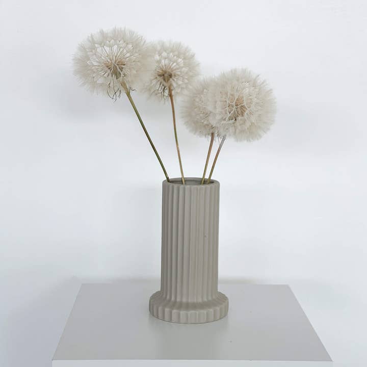 white Dandelion dried individually for wholesale on Faire