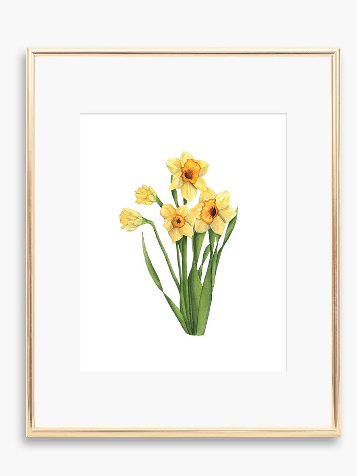 Daffodil Art Print for wholesale by Tara Feather Designs