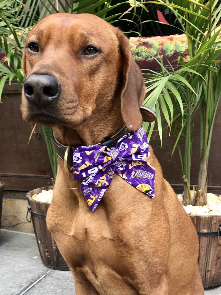 LSU Tigers Sailor Bow - Football Collection for wholesale by Koa's Ruff Life
