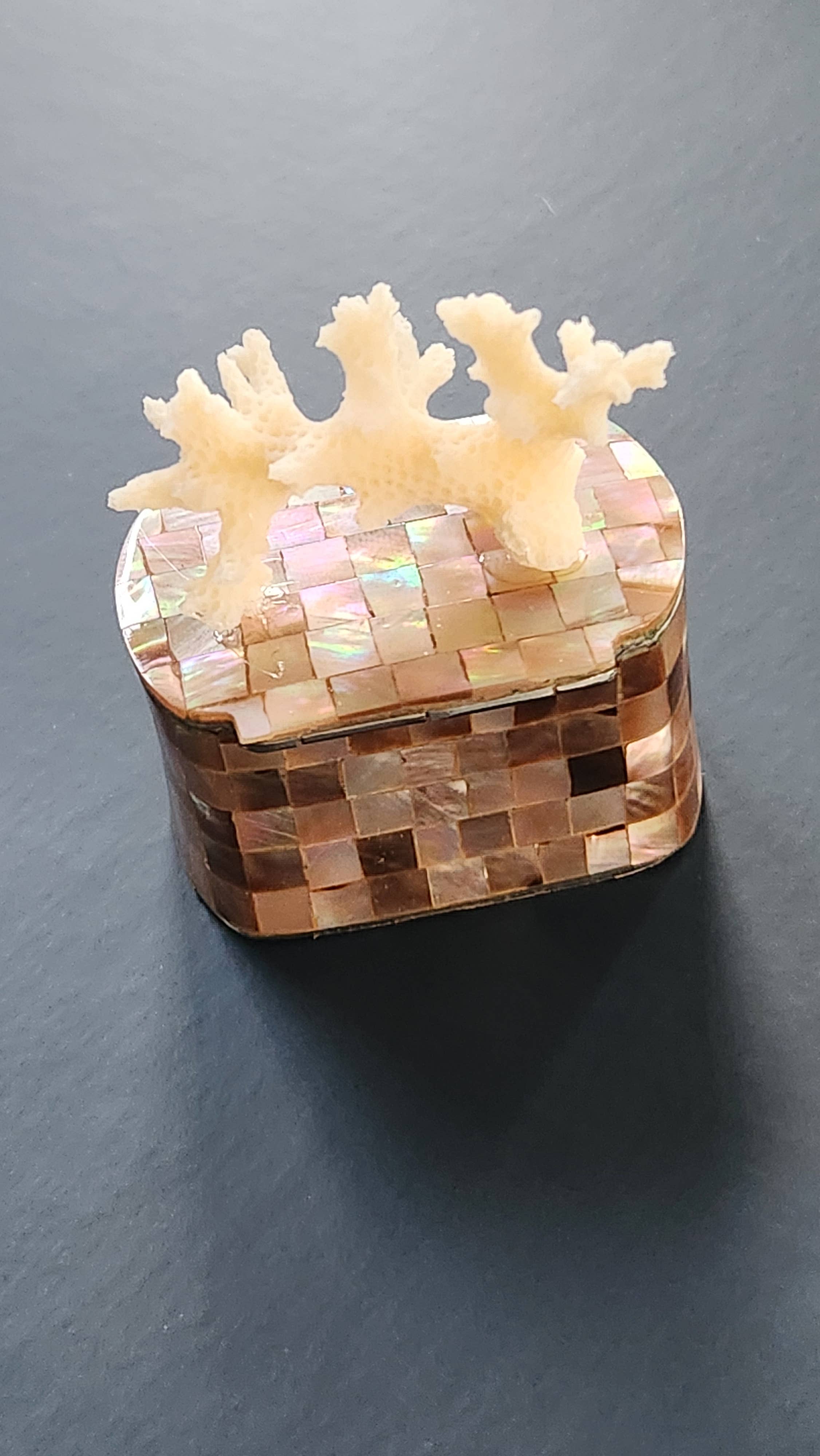 White Tulip Boutique - Wholesale Decorative Box - Mini Tawny Abalone MOP Shell Trinket Pill Box4