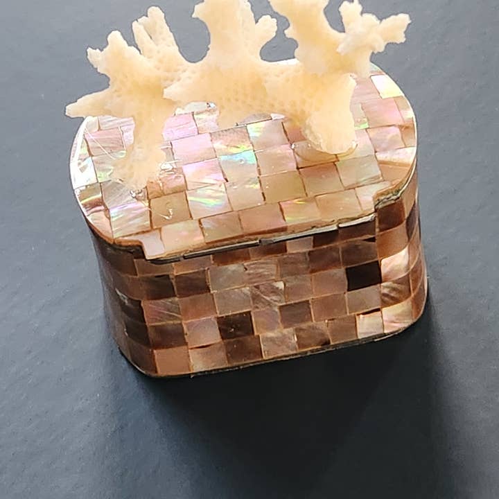 White Tulip Boutique - Wholesale Decorative Box - Mini Tawny Abalone MOP Shell Trinket Pill Box4