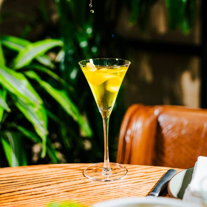 Hospitality Glass - Wholesale Cocktail/Liquor Glass - Blossom 5.25 oz. Manhattan Martini3