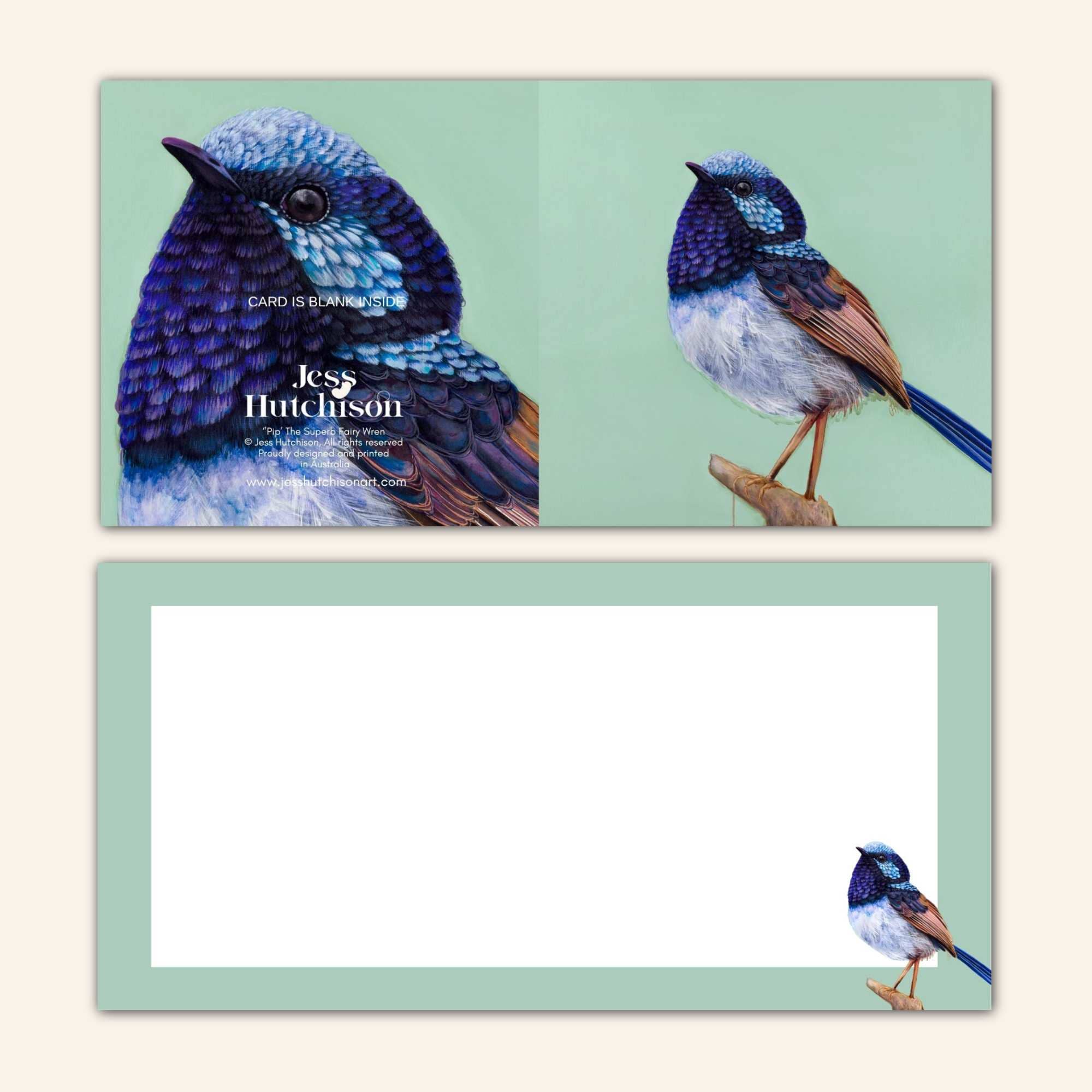 Jess Hutchison Art - Wholesale Everyday greeting card - New design - Pip the Superb Fairy Wren Greeting Card 2