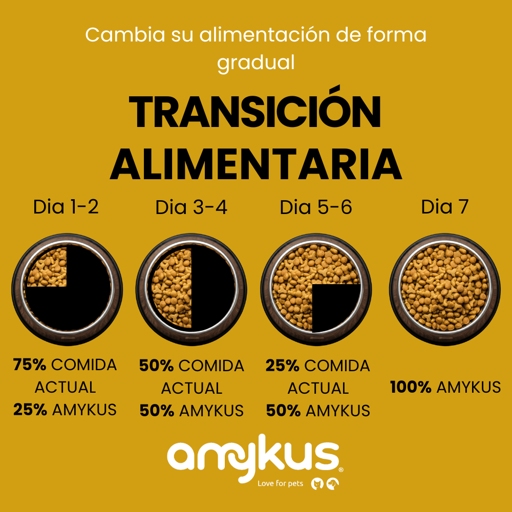 Amykus – wholesale Pet food – Dog – Amykus Original Lamb & Rice - Lamb food for dogs5