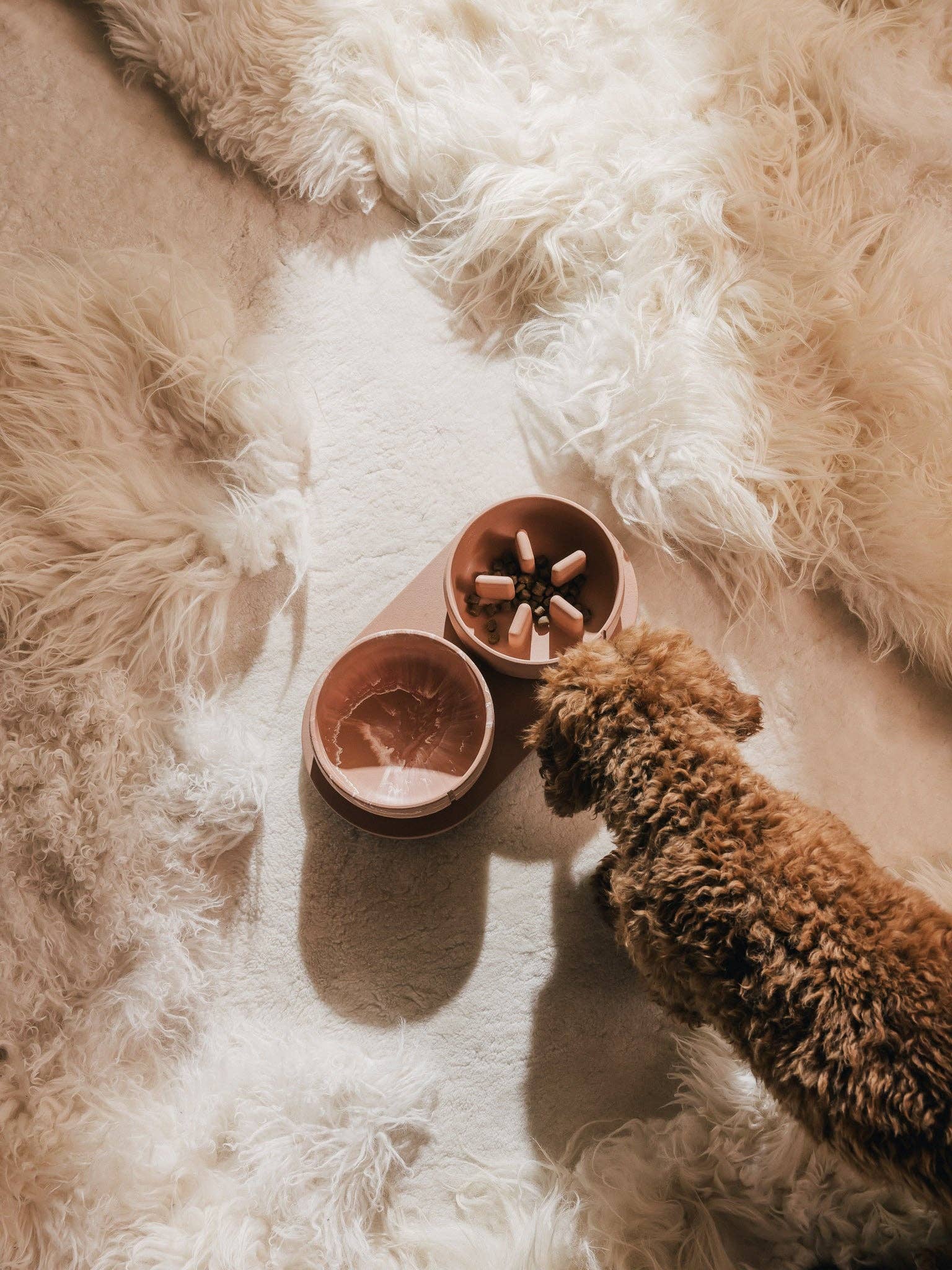 PINO - Wholesale Pet Bowl - Dog - Slow Feeder Bowl15