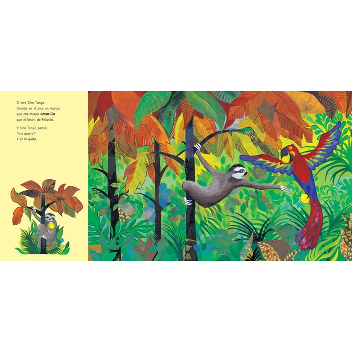 Barefoot Books - Wholesale Preschool Book (3-5) - El loro Tico Tango1