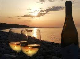 MAGIU SRL - Wholesale White Wine - Pecorino Terre di Chieti IGT4