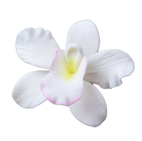 Global Sugar Art – wholesale Cake/cupcake topper – Orchid Sugar Cake Flowers, Pearly Orchids, by Global Sugar Art, Small, White, 6 Count0