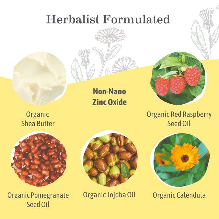 Earth Mama Organics - Wholesale Sunscreen - Baby Mineral Sunscreen Lotion - SPF 40