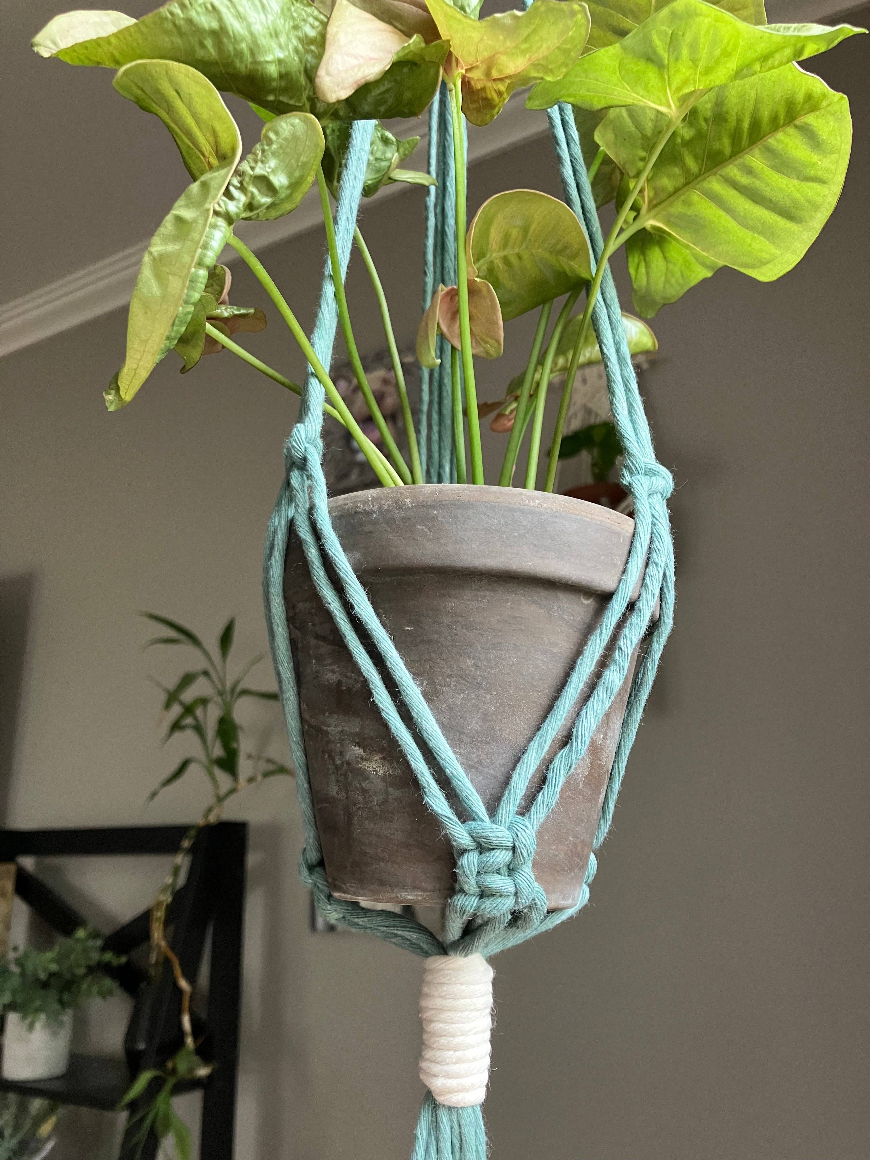 Why Knot - Wholesale Hanging Planter - Double Plant Hanger - Handmade Macrame Pot Holders2