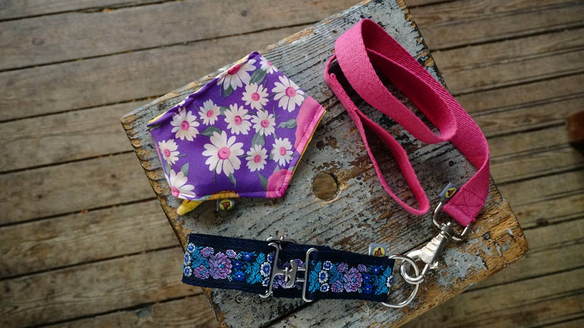 hundsfutter - Wholesale Pet Collar - Dog - Necklace with Strap set4