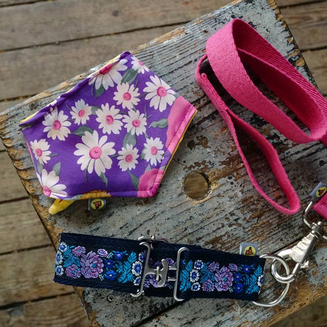 hundsfutter - Wholesale Pet Collar - Dog - Necklace with Strap set4