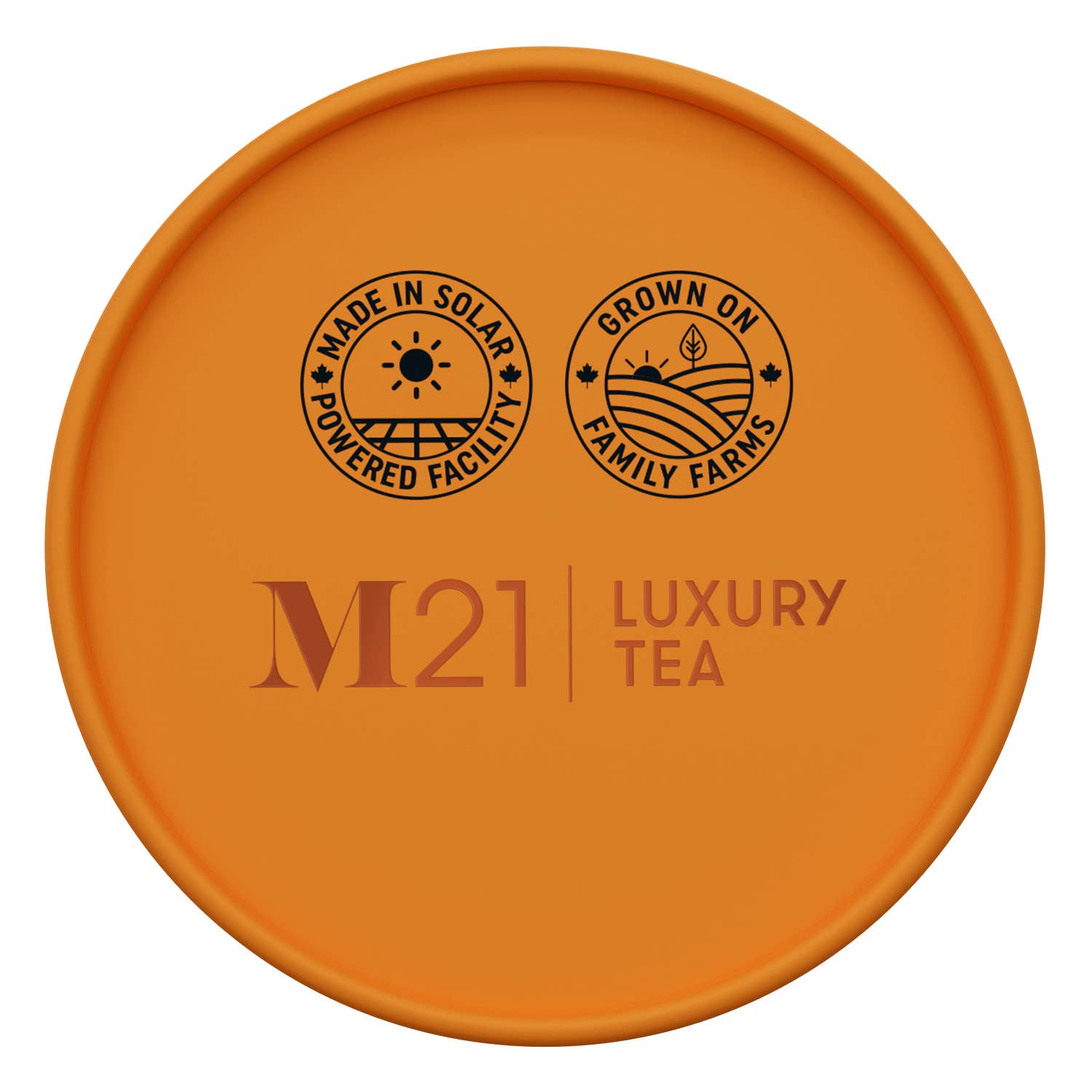 Tega Organic Tea - Vente Sachets de thé - Thé Noir de Luxe à la Tarte au Beurre d'Érable | Canadien | 24 Sachets de Thé4