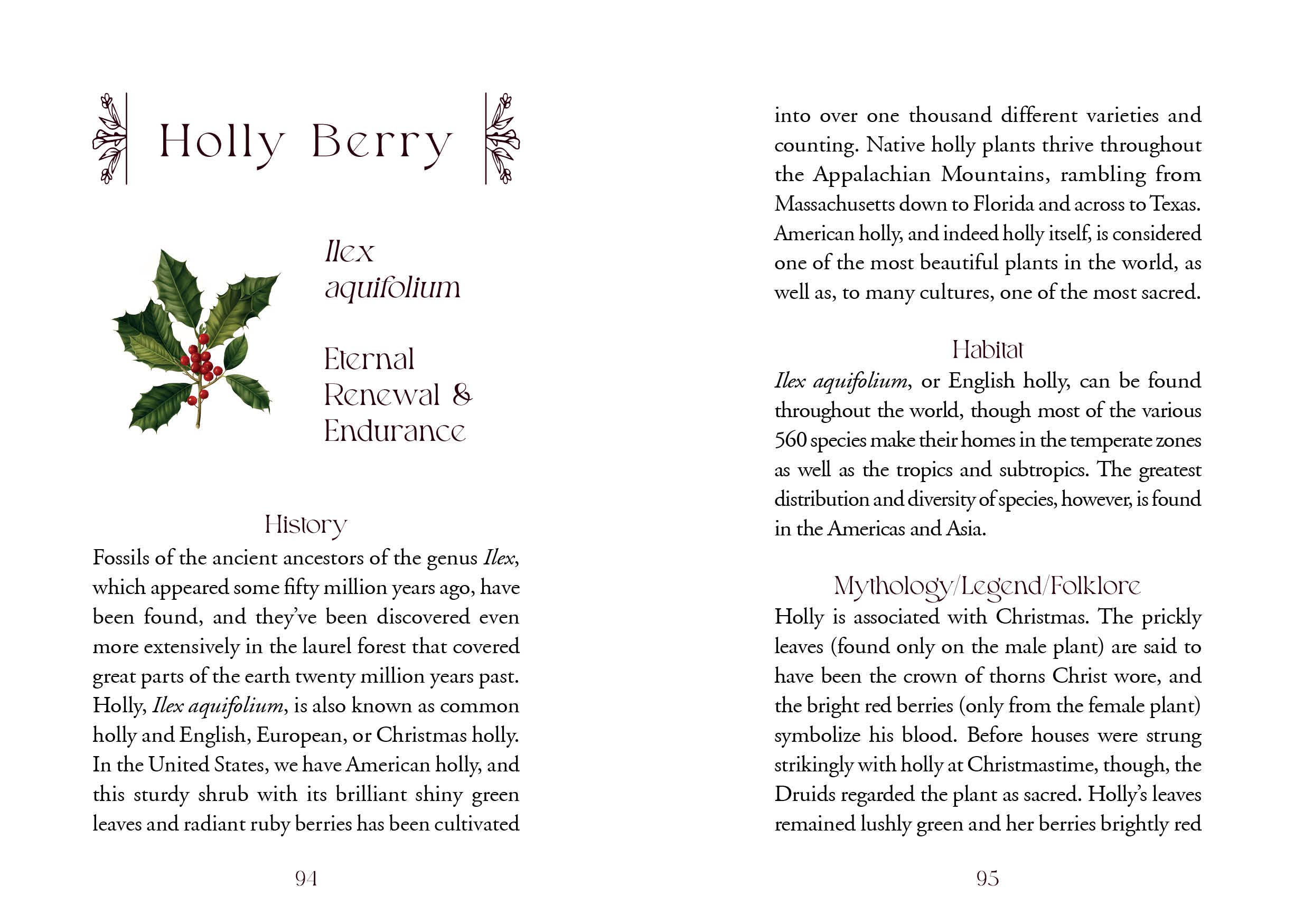 REDFeather – wholesale Tarot cards – The Flowerwise Oracle5