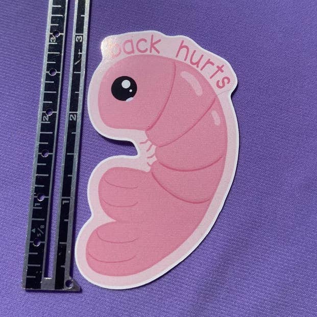 AstroManatee Shop - Wholesale Sticker - Shrimp Back Hurts 2.5” Waterproof Sticker0