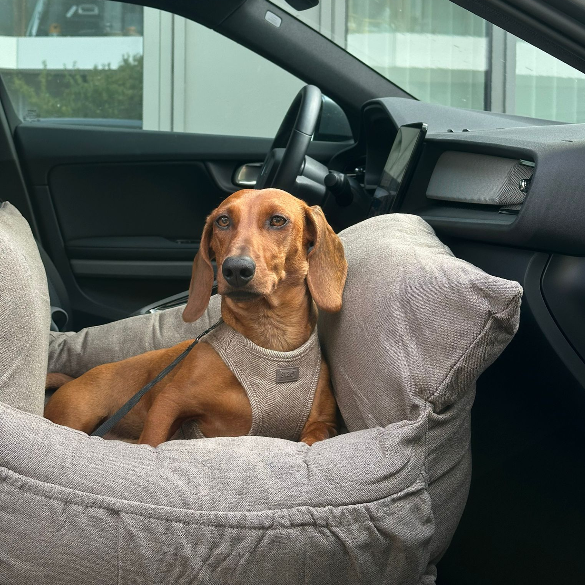 Staey - Wholesale Pet Carrier - Dog - Lara Car Seat | Taupe 2.016