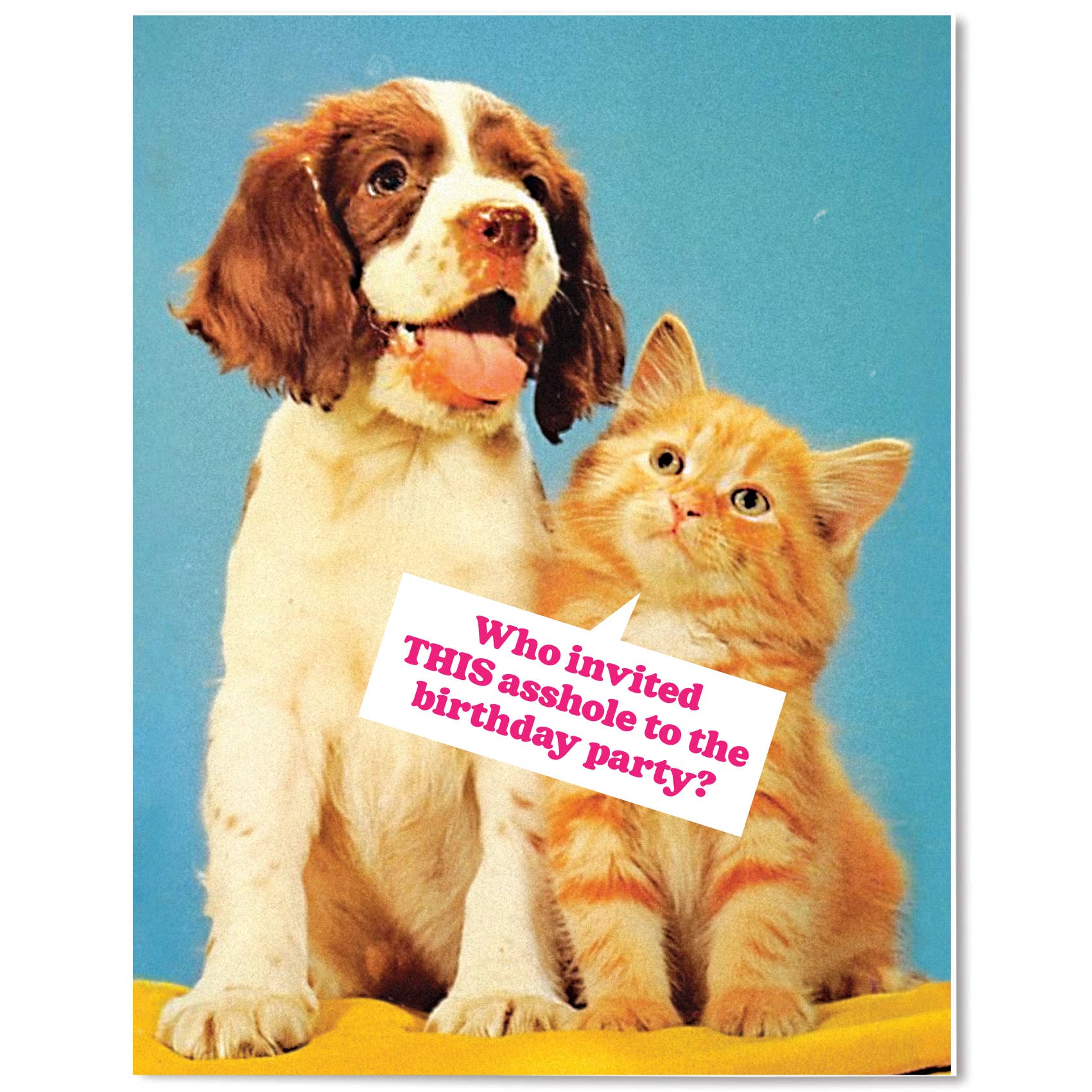 The Raccoon Society - Vente Cartes d'anniversaire - Qui a invité cet abruti ? - Carte d'anniversaire0