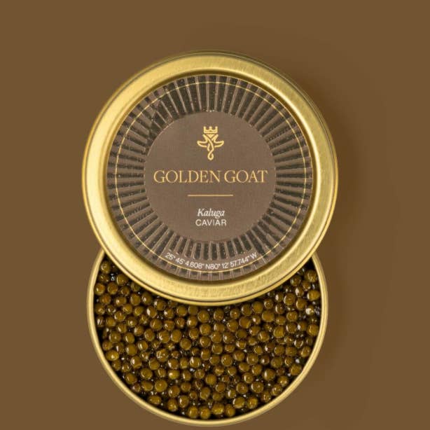 Golden Goat Caviar - Wholesale Fish/Seafood - Kaluga Caviar