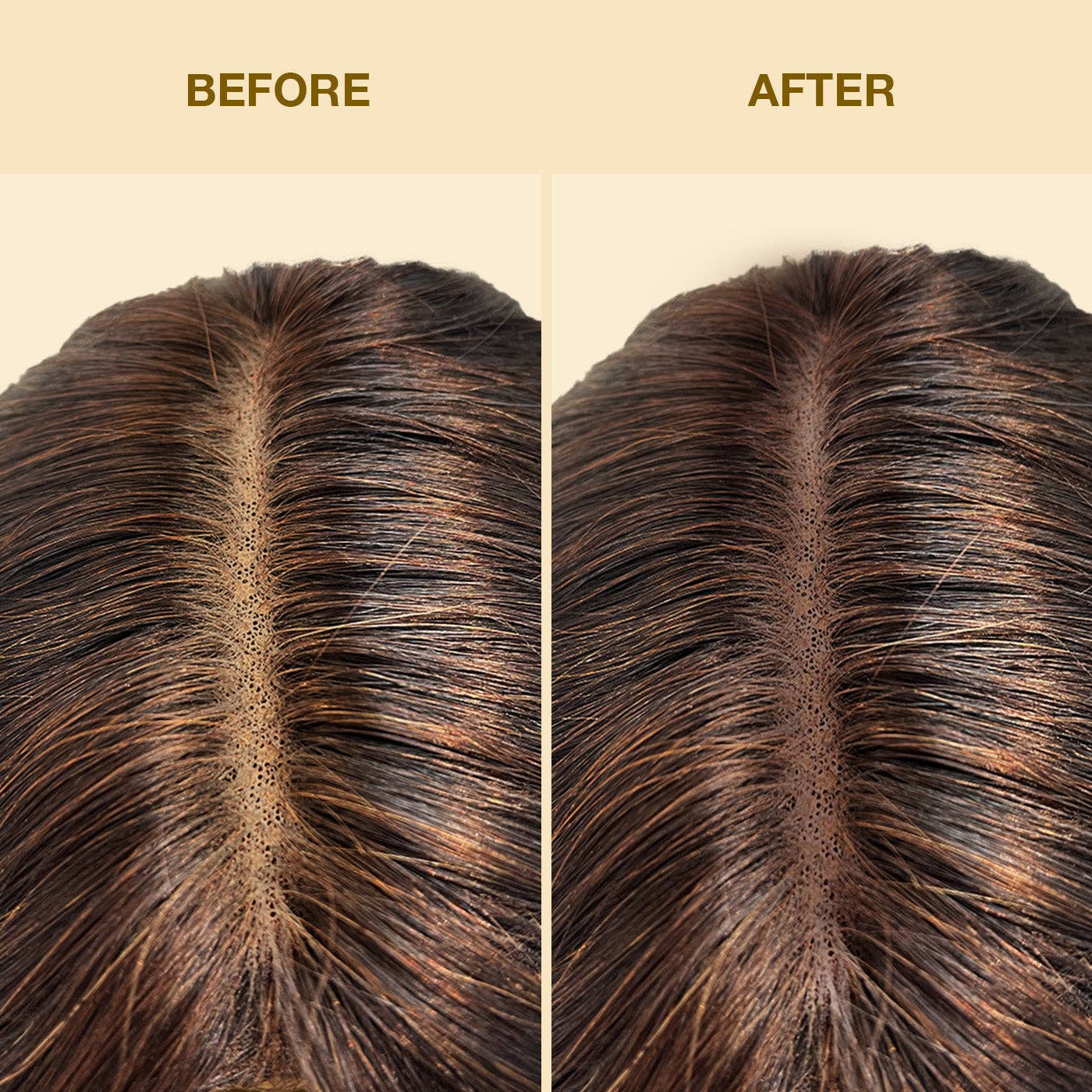 EBIN NEW YORK - Wholesale Hair Spray - Tinted Lace Aerosol Spray 5.07oz/150ml8