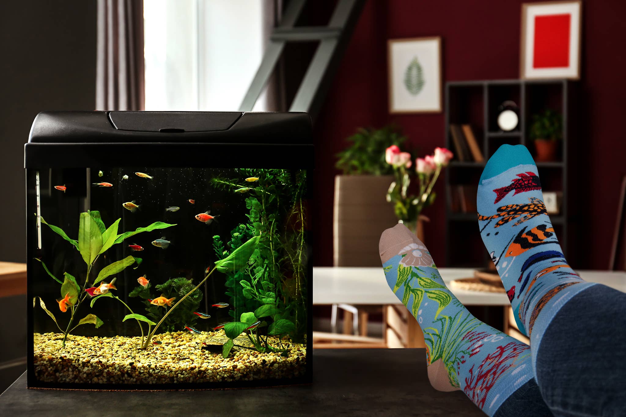 Spox Sox - Wholesale Socks - Unisex - Casual Socks - Aquarium1