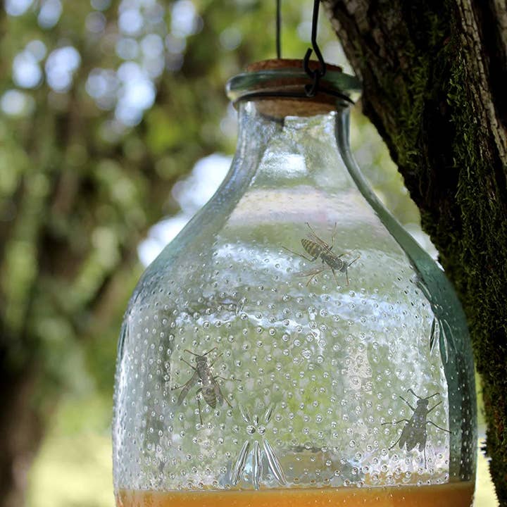 Kurated Korner - Wholesale Outdoor Ornament/Decor - Darware Glass Wasp Traps (2pk)2
