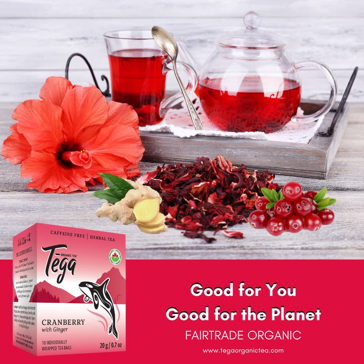 Tega Organic Tea - Wholesale Health/Detox Tea - Cranberry Ginger Organic Herbal Tea 10ct
