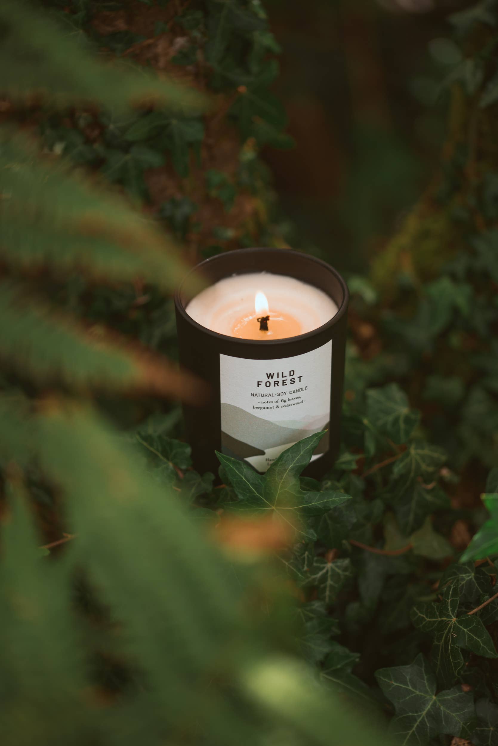 Ocoee House – wholesale Jar/filled candle – Wild Forest, Organic & Vegan Scented Candle | Ocoee House8